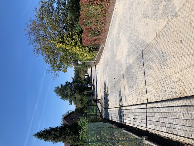 IMG 3950